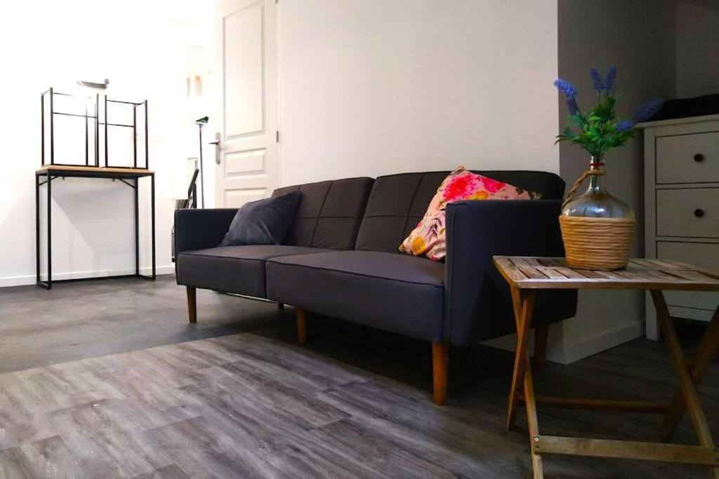 Le Cours Foucault - 3 Appartements - 8 Couchages Montauban Luaran gambar