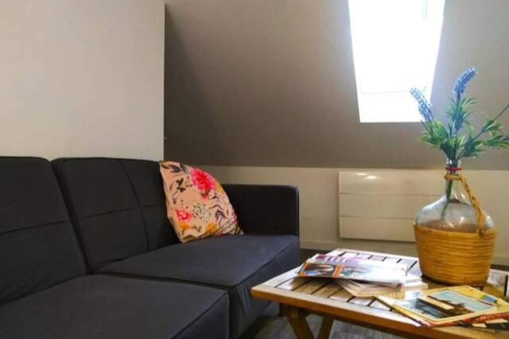 Le Cours Foucault - 3 Appartements - 8 Couchages Montauban Luaran gambar