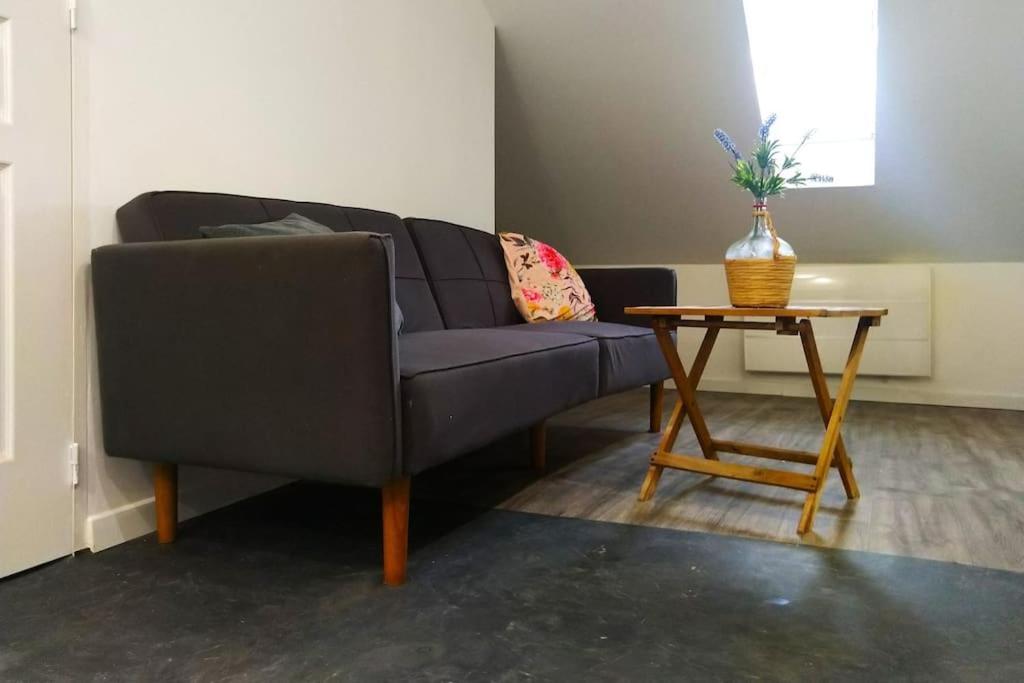 Le Cours Foucault - 3 Appartements - 8 Couchages Montauban Luaran gambar